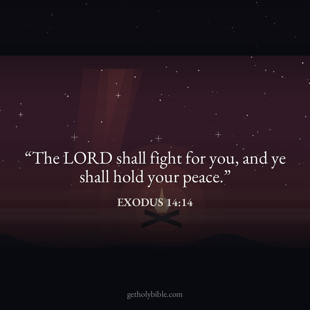 Verse of the Day — Exodus 14:14