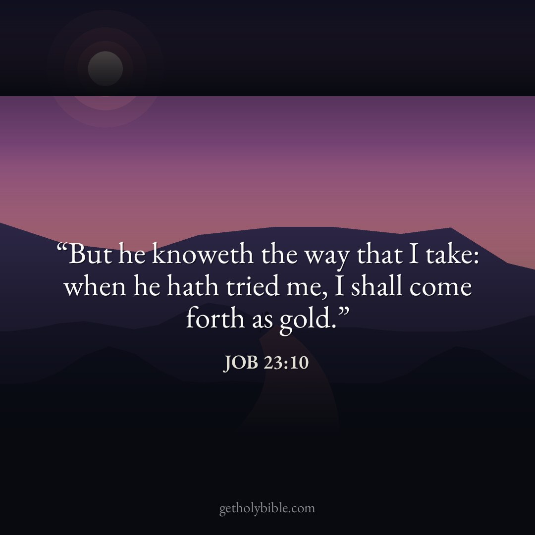 Verse of the Day — Job 23:10