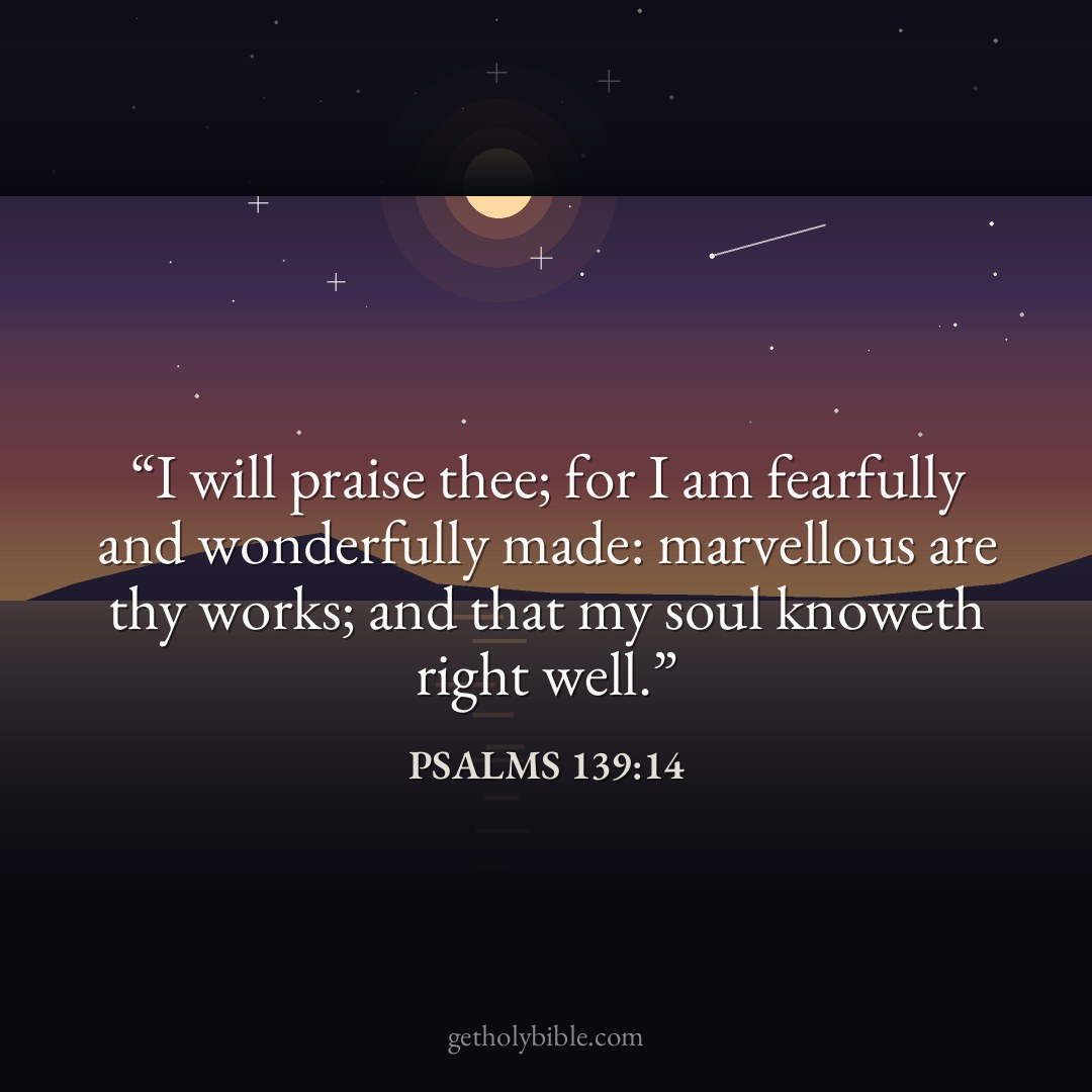 Verse of the Day — Psalms 139:14