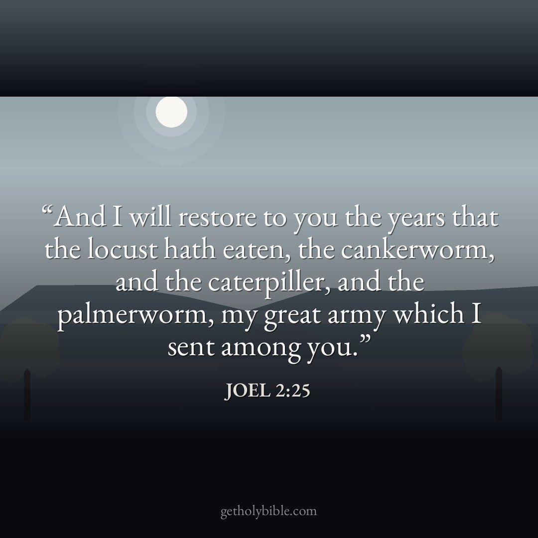 Verse of the Day — Joel 2:25
