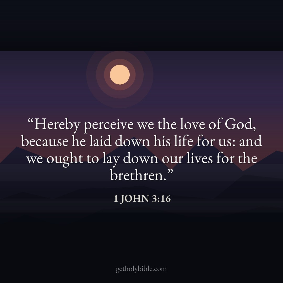 Verse of the Day — 1 John 3:16