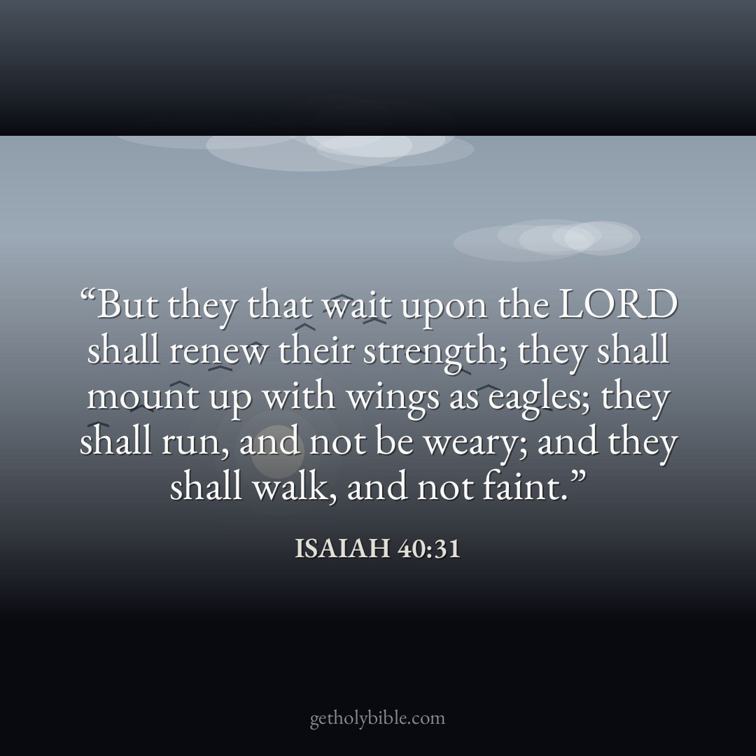 Verse of the Day — Isaiah 40:31