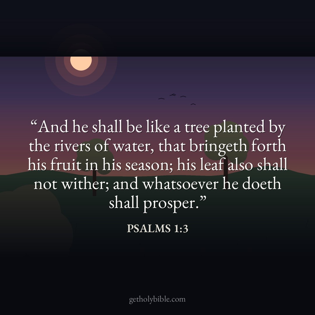 Verse of the Day — Psalms 1:3