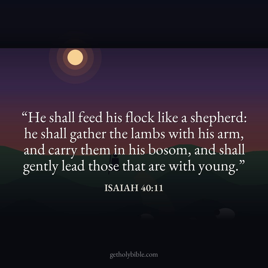Verse of the Day — Isaiah 40:11