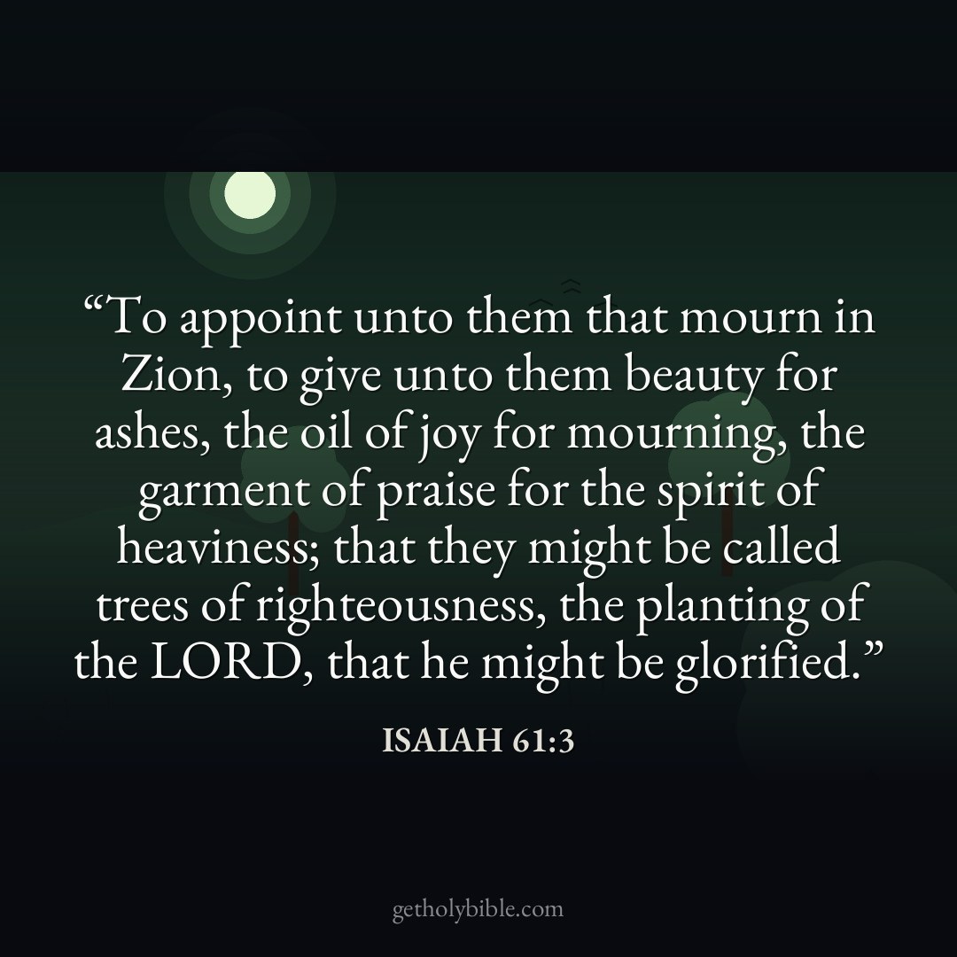 Verse of the Day — Isaiah 61:3