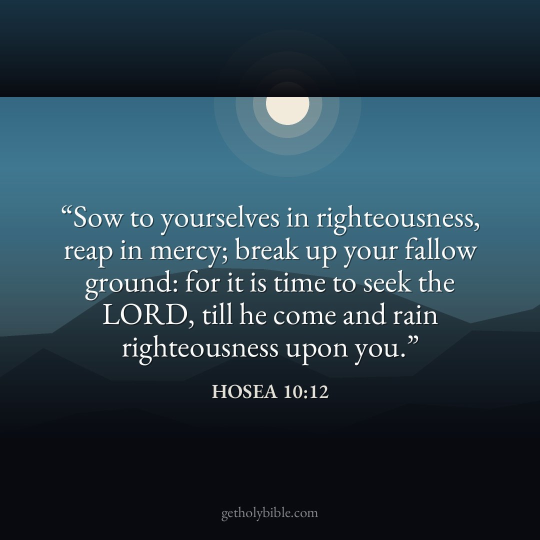 Verse of the Day — Hosea 10:12