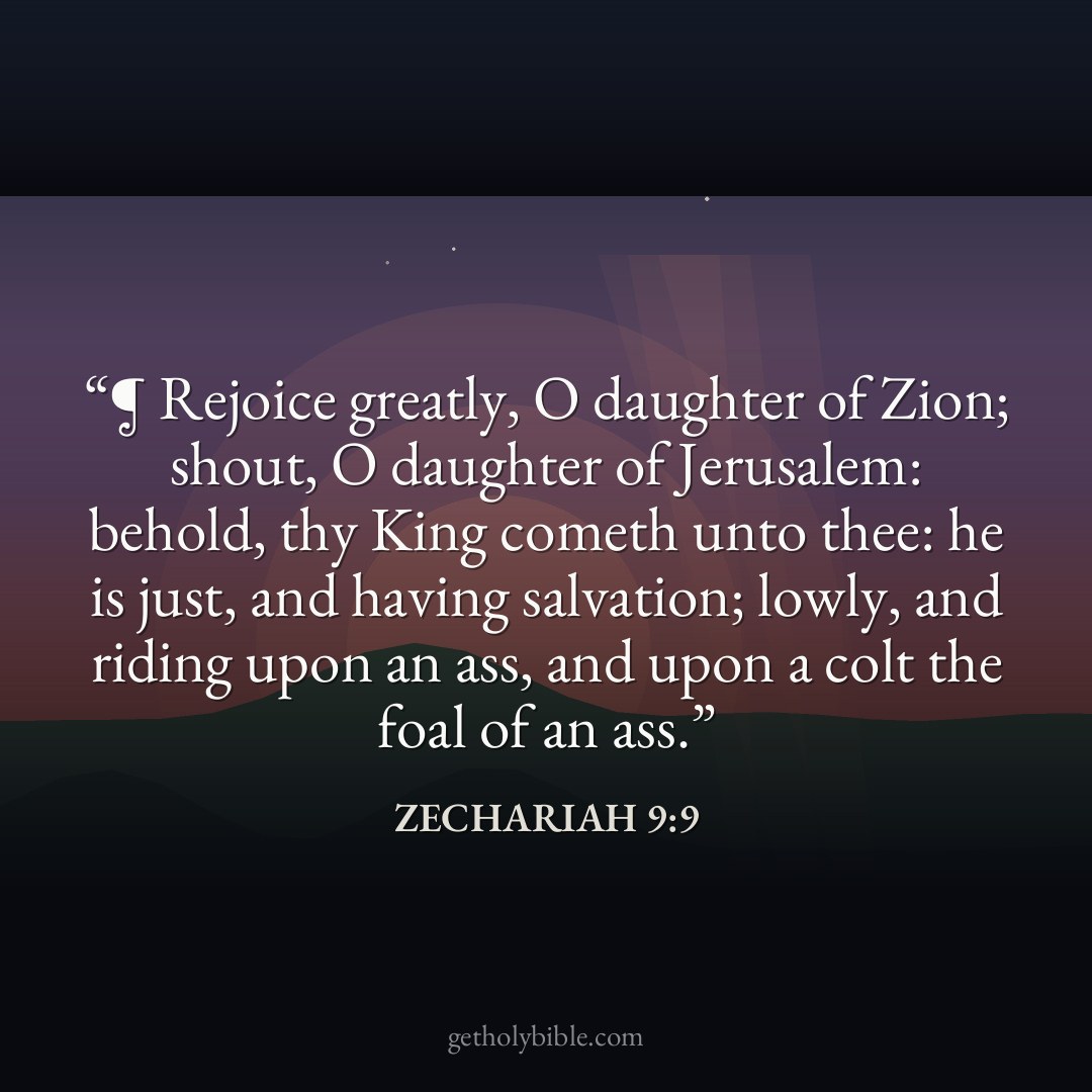 Verse of the Day — Zechariah 9:9