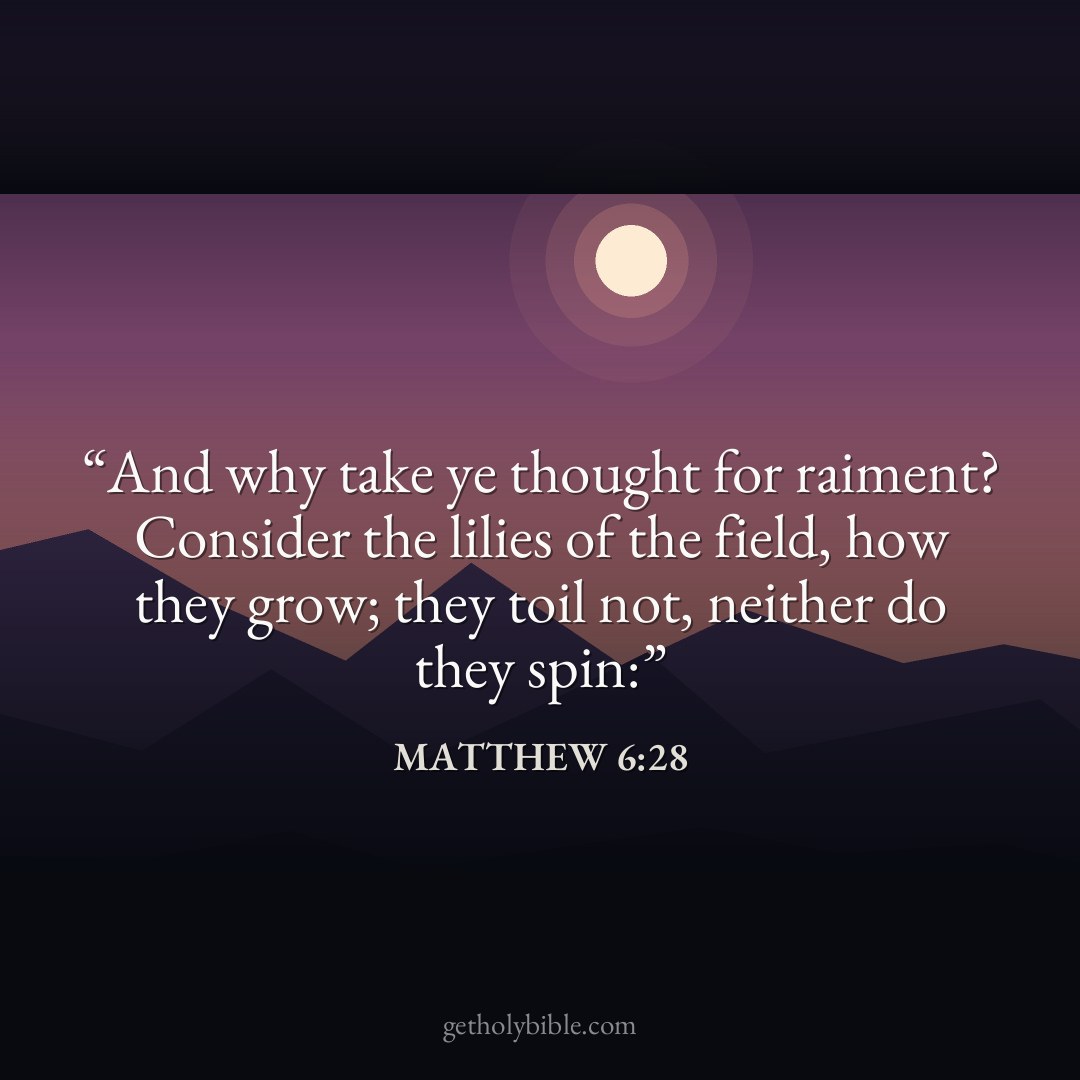 Verse of the Day — Matthew 6:28
