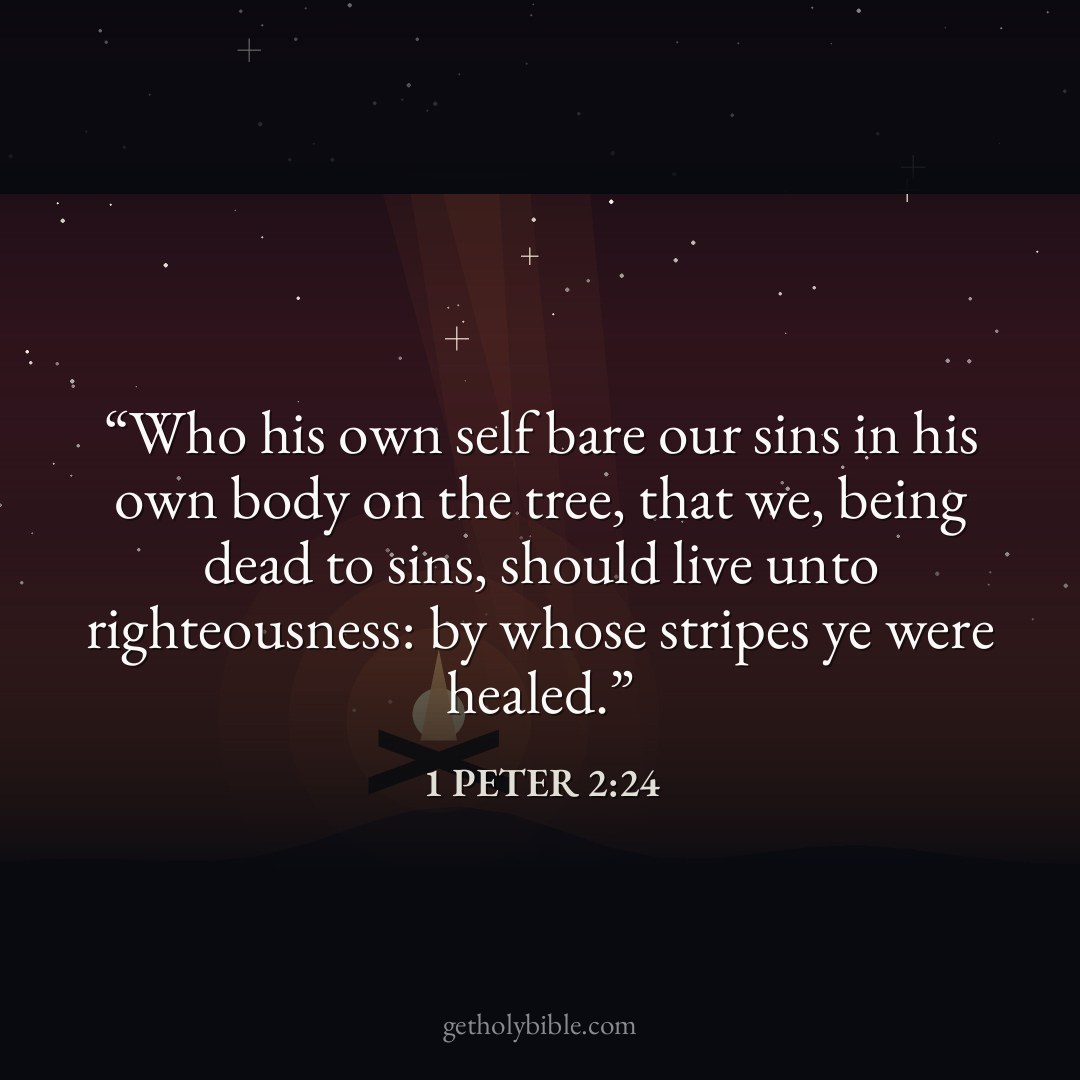 Verse of the Day — 1 Peter 2:24