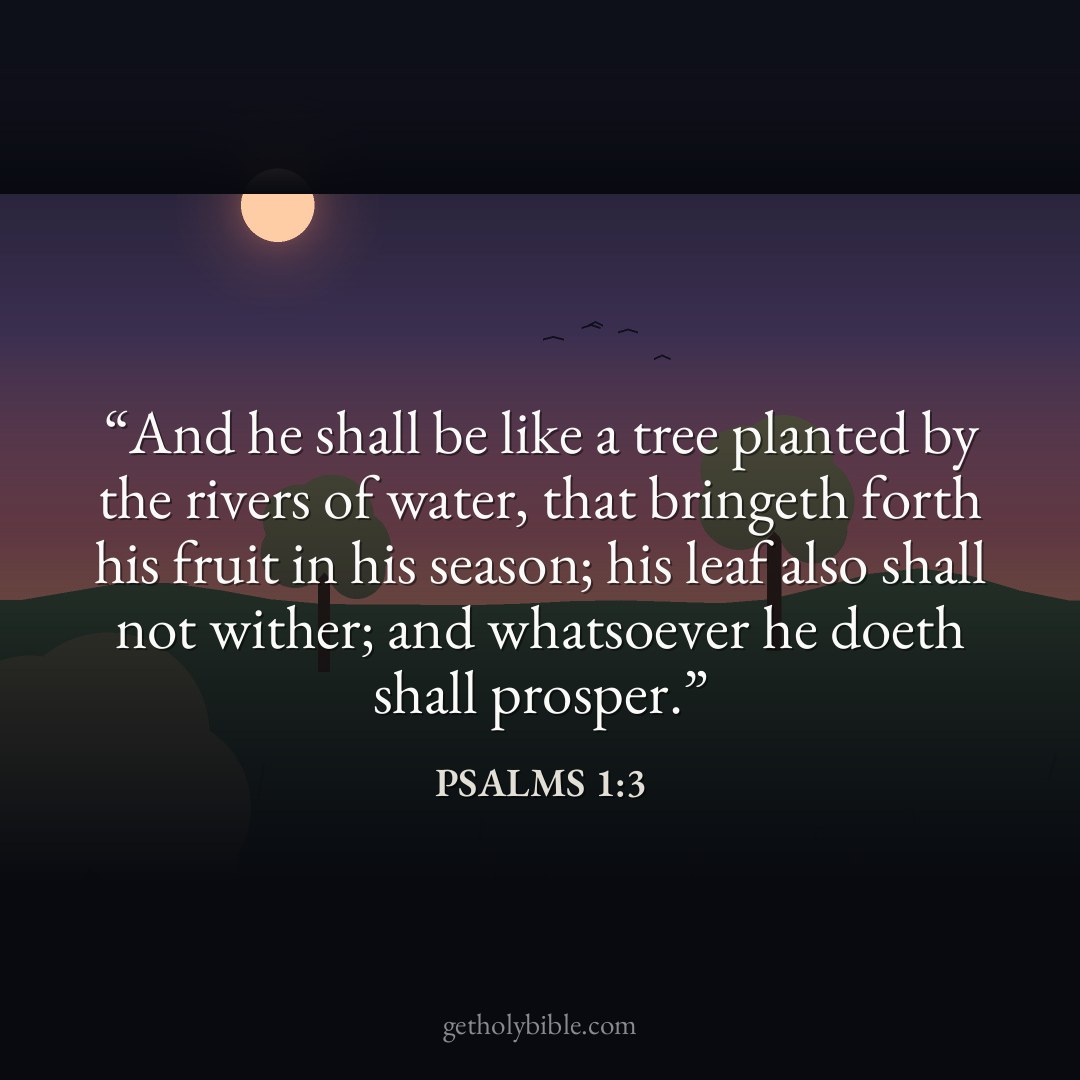 Verse of the Day — Psalms 1:3
