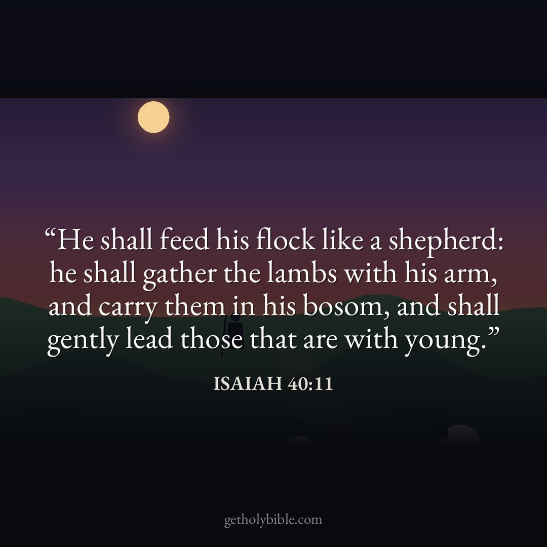 Verse of the Day — Isaiah 40:11
