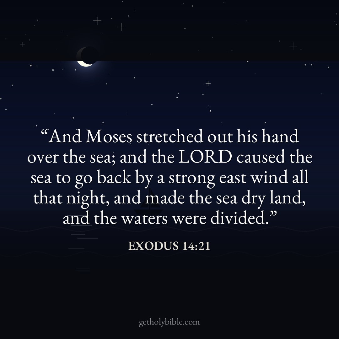 Verse of the Day — Exodus 14:21