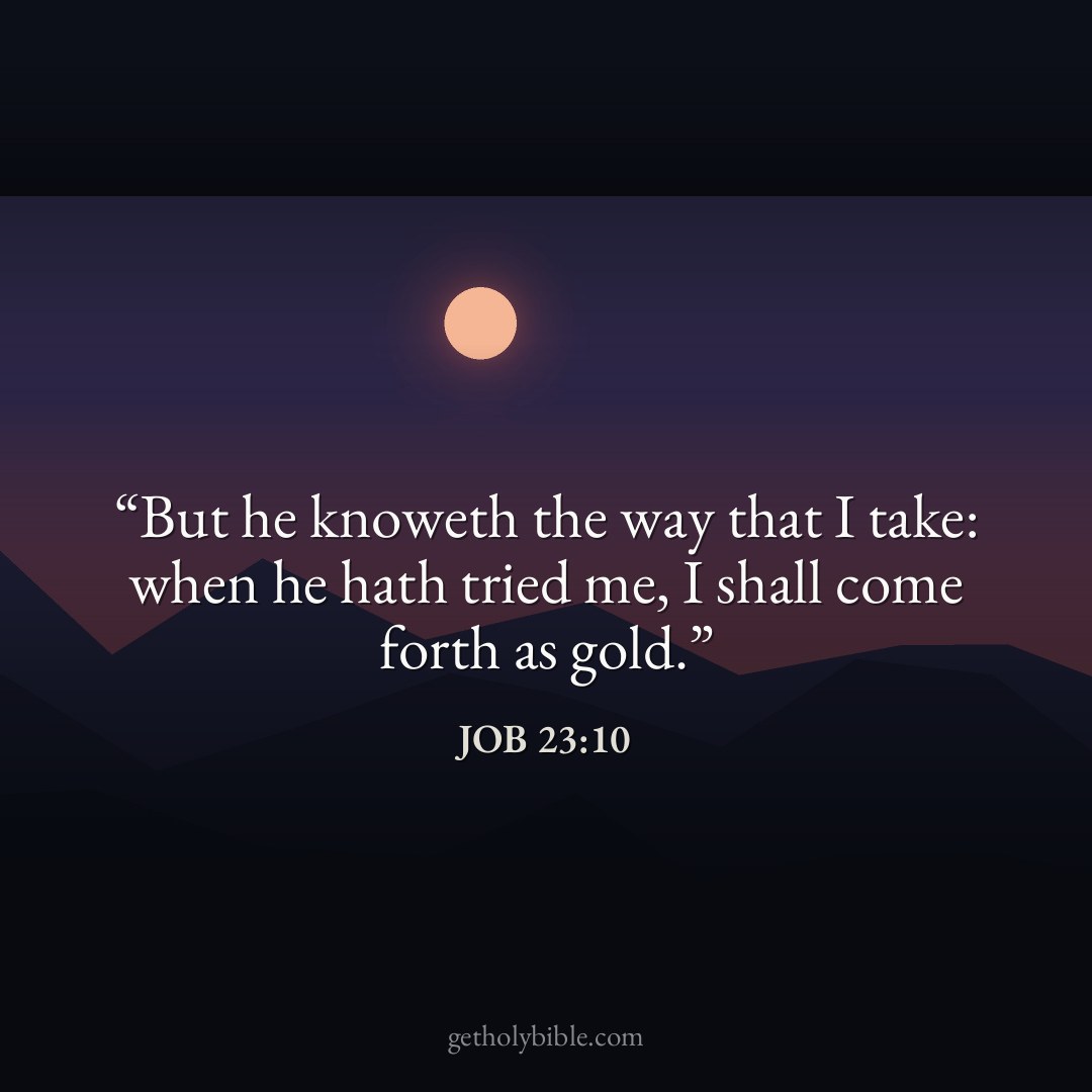 Verse of the Day — Job 23:10