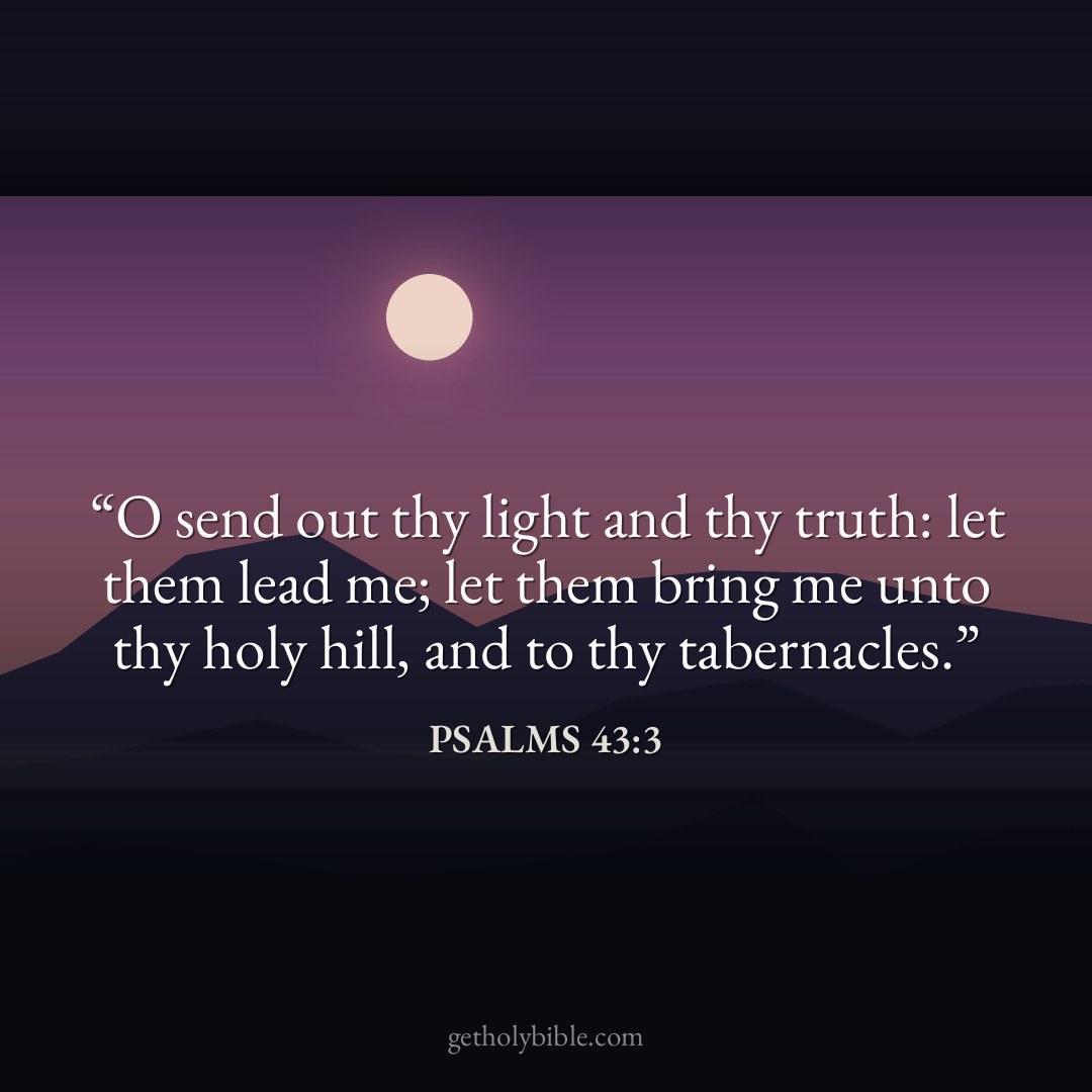Verse of the Day — Psalms 43:3