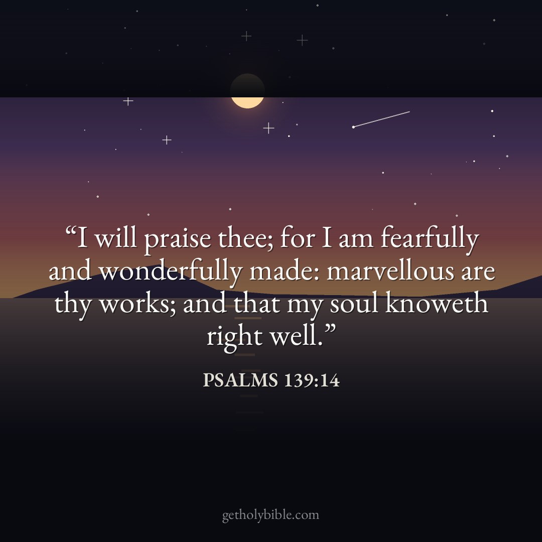 Verse of the Day — Psalms 139:14