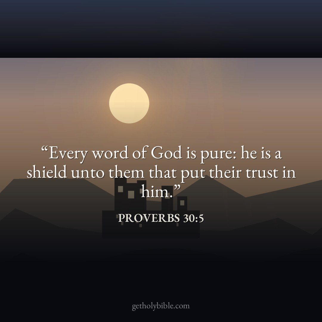 Verse of the Day — Proverbs 30:5