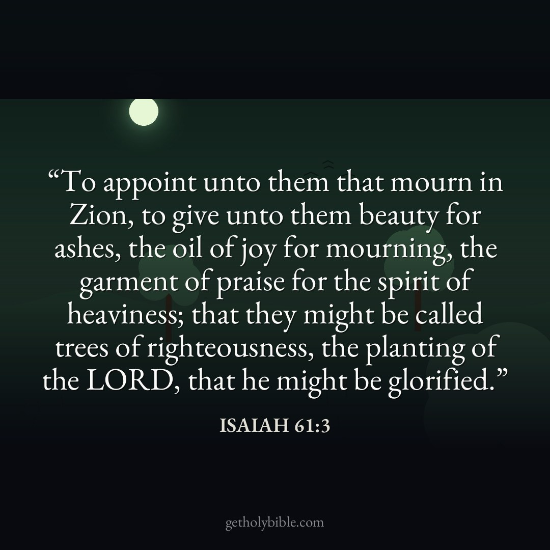 Verse of the Day — Isaiah 61:3