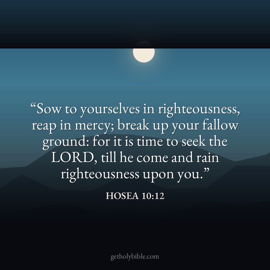Verse of the Day — Hosea 10:12