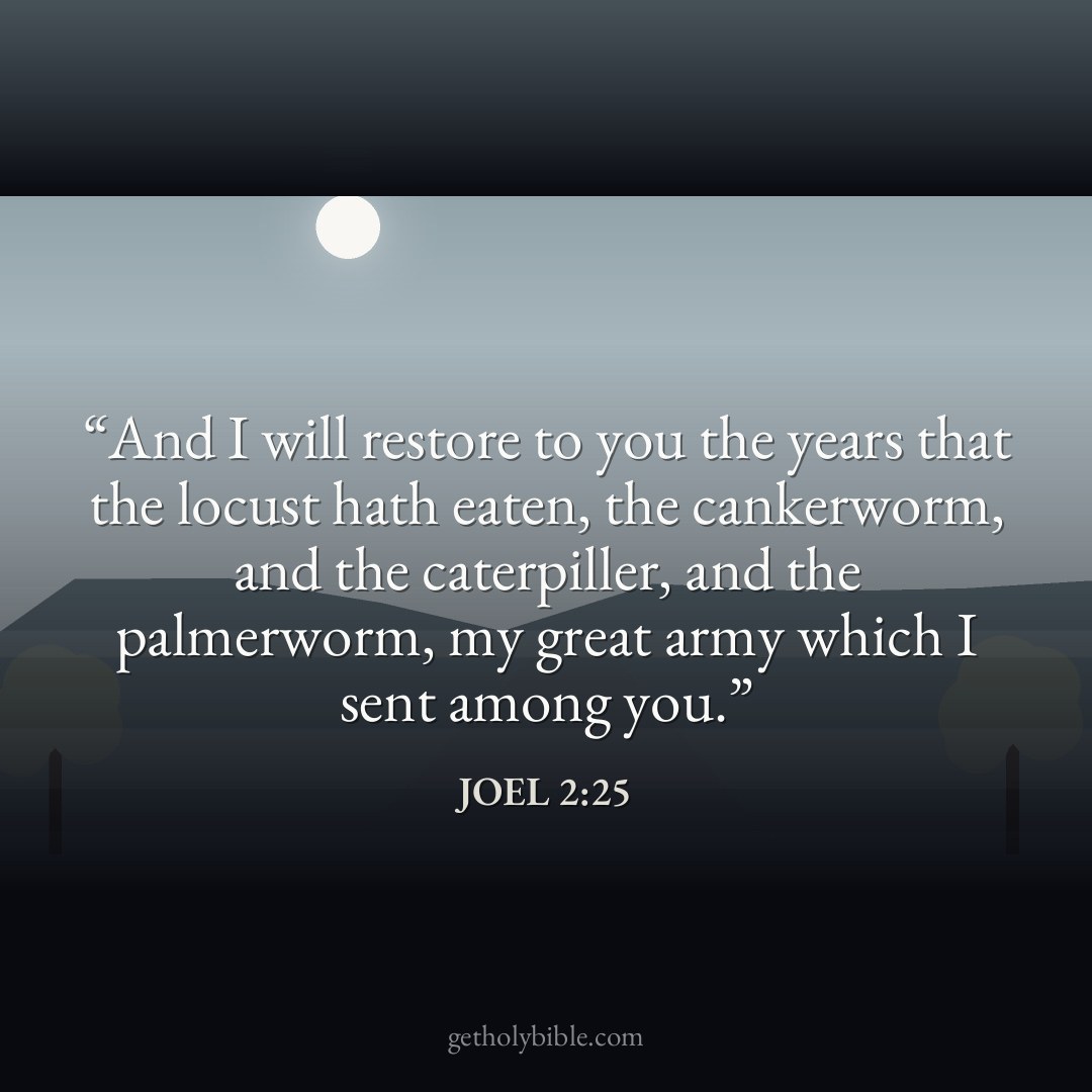 Verse of the Day — Joel 2:25