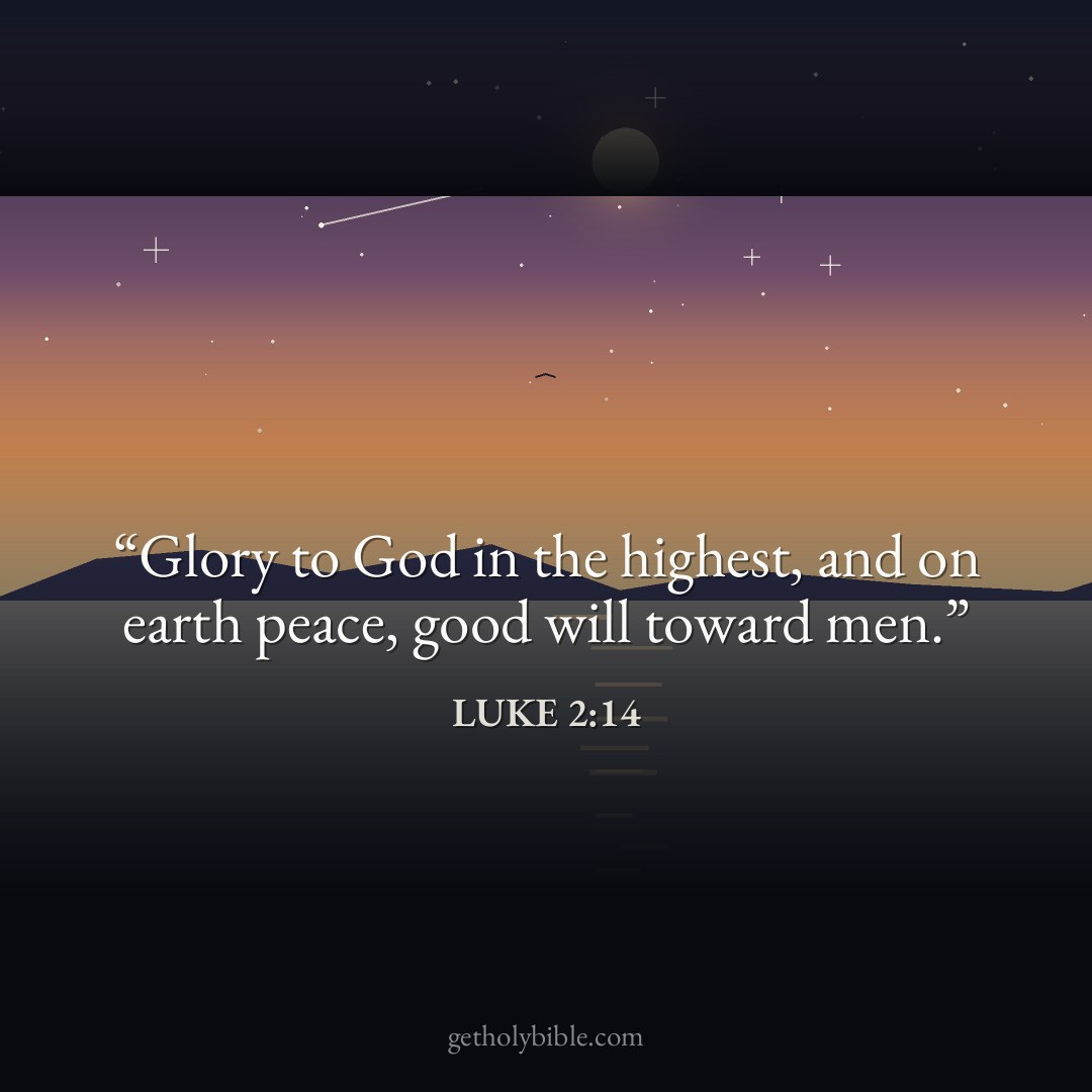 Verse of the Day — Luke 2:14