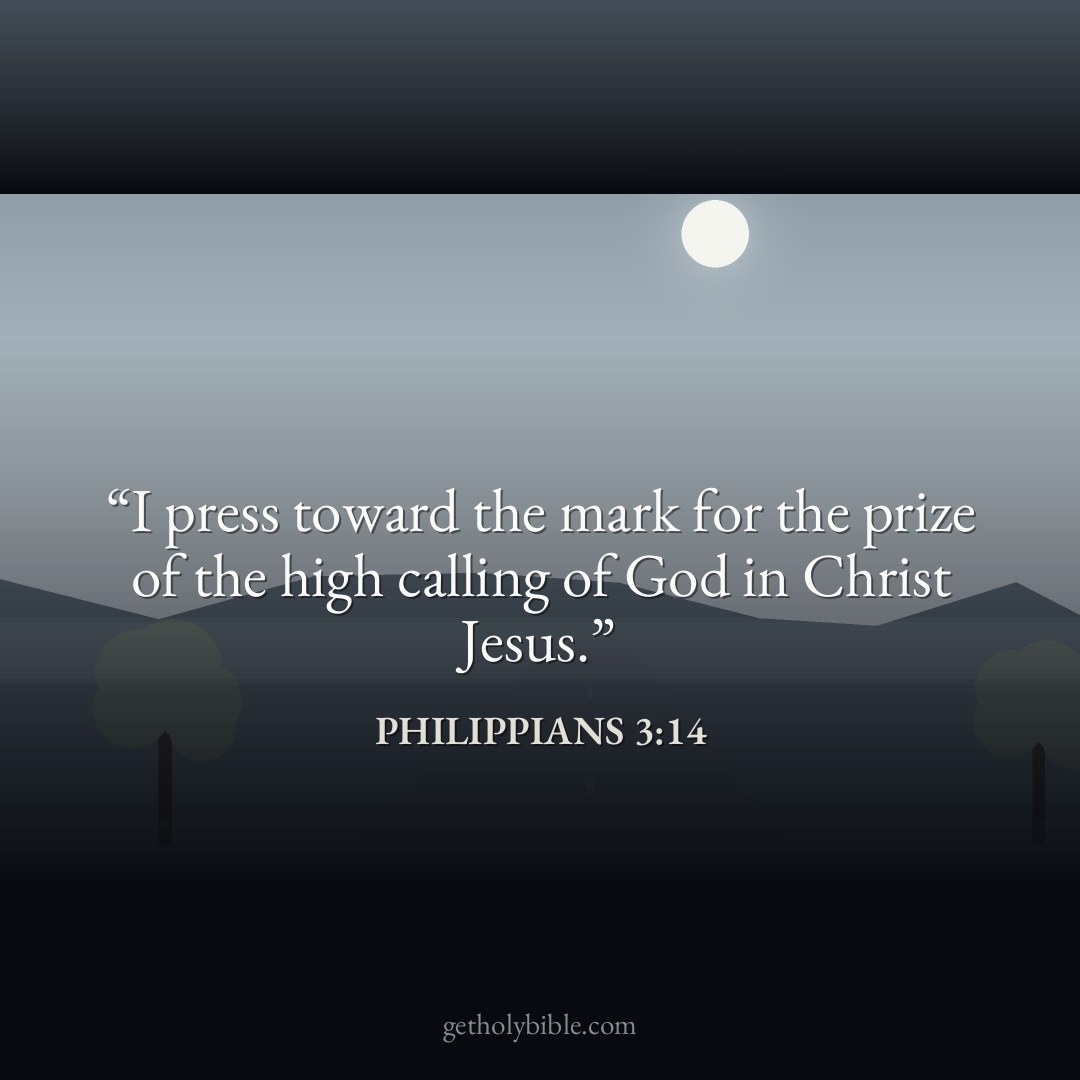Verse of the Day — Philippians 3:14