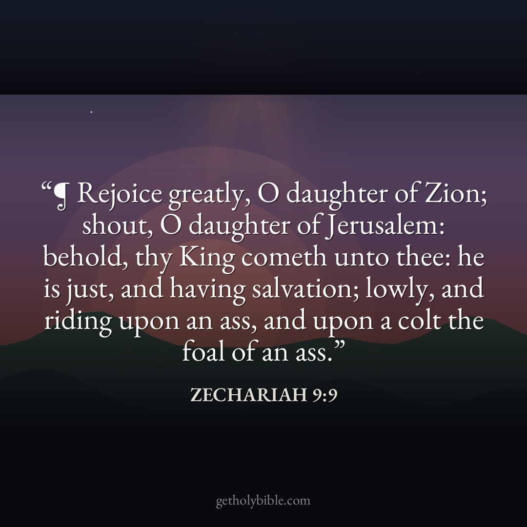 Verse of the Day — Zechariah 9:9