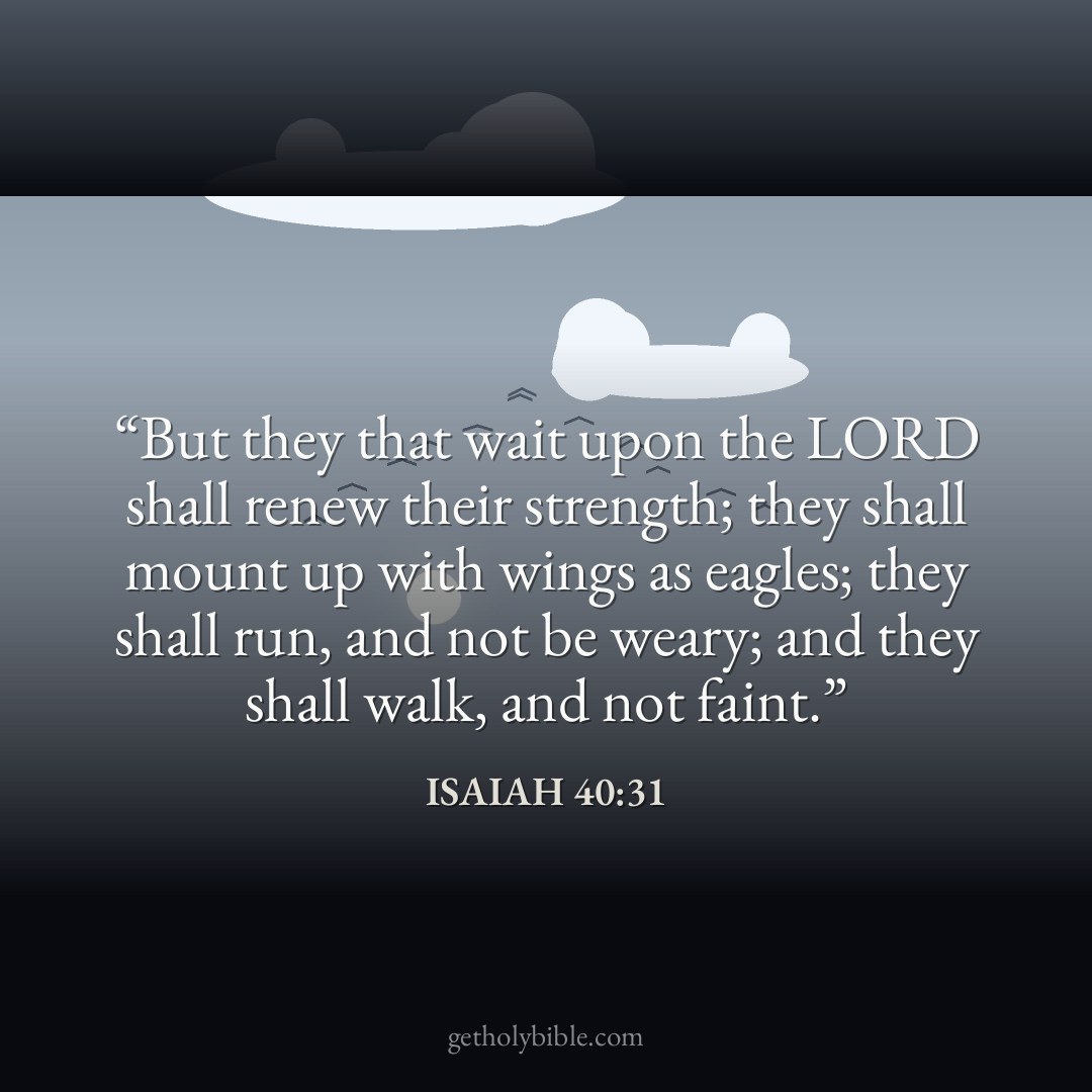 Verse of the Day — Isaiah 40:31