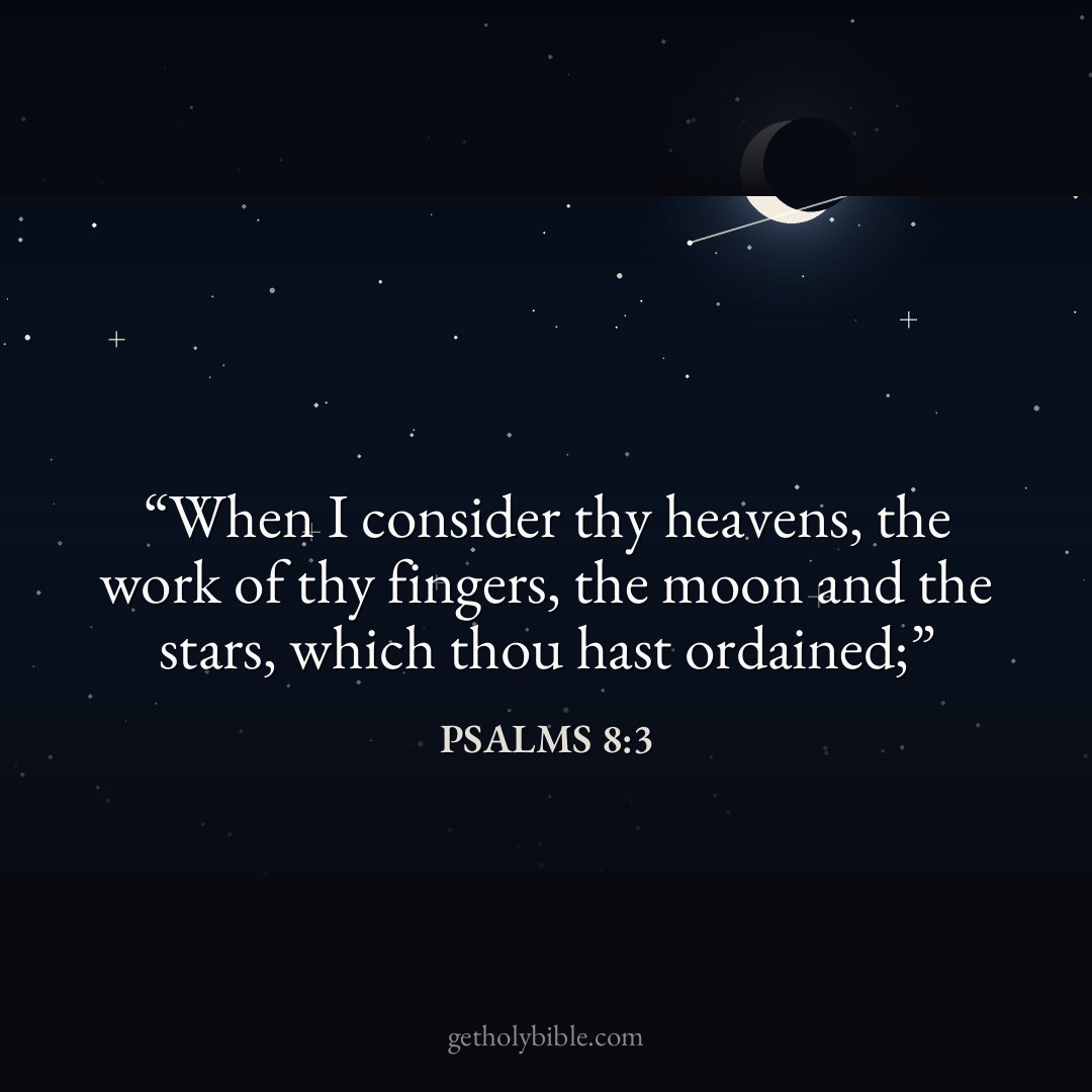 Verse of the Day — Psalms 8:3
